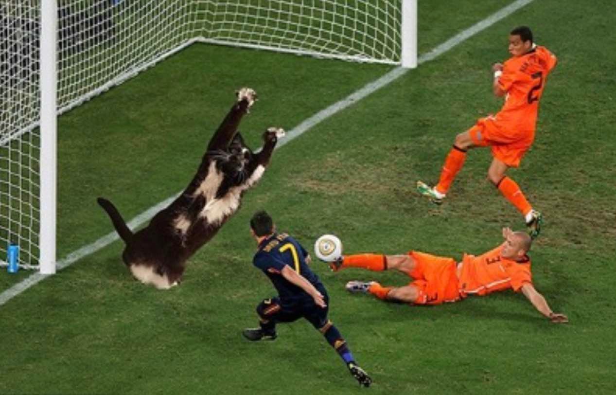 goalkitty 16 goalkitty 16