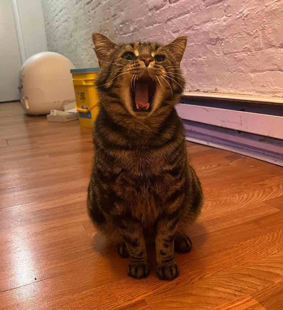 fishtopher 10 fishtopher 10