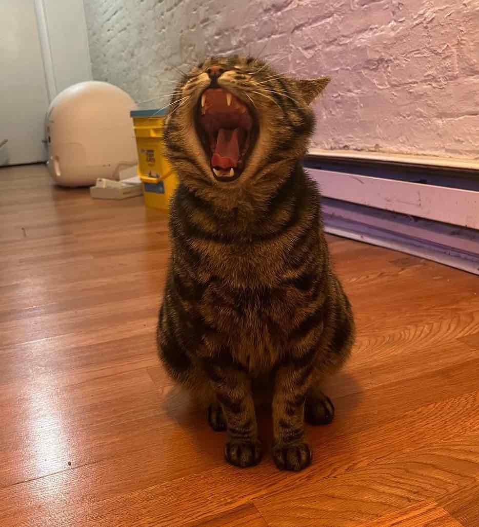 fishtopher 13 fishtopher 13