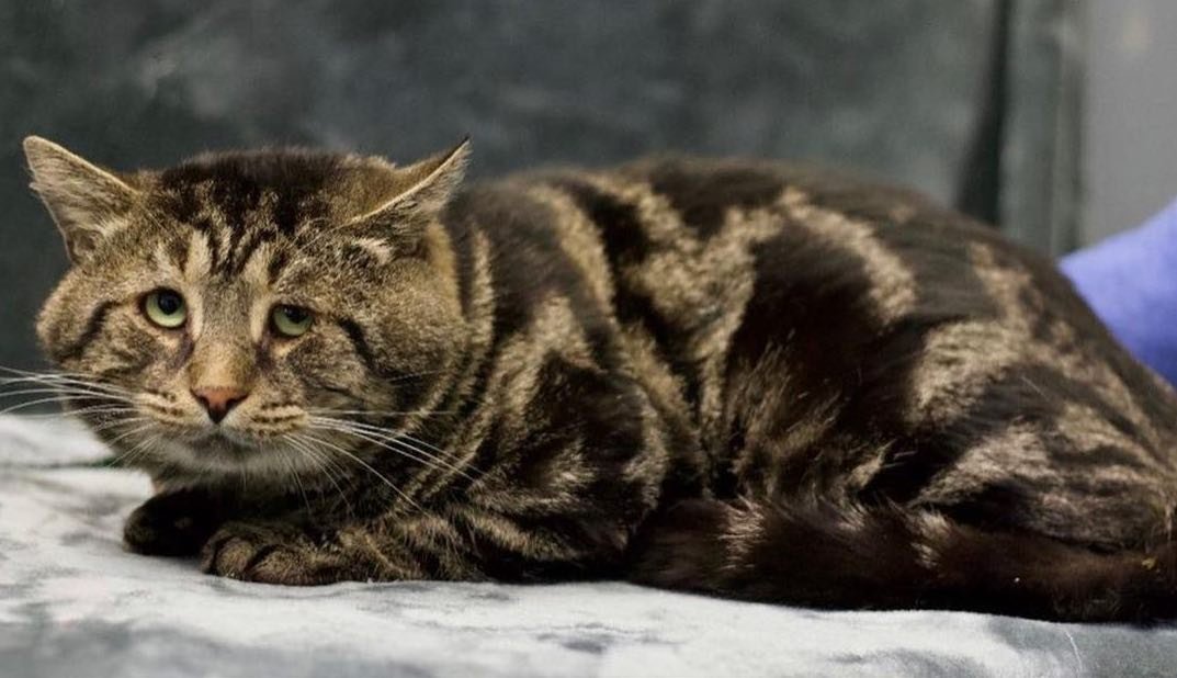 fishtopher 2 fishtopher 2