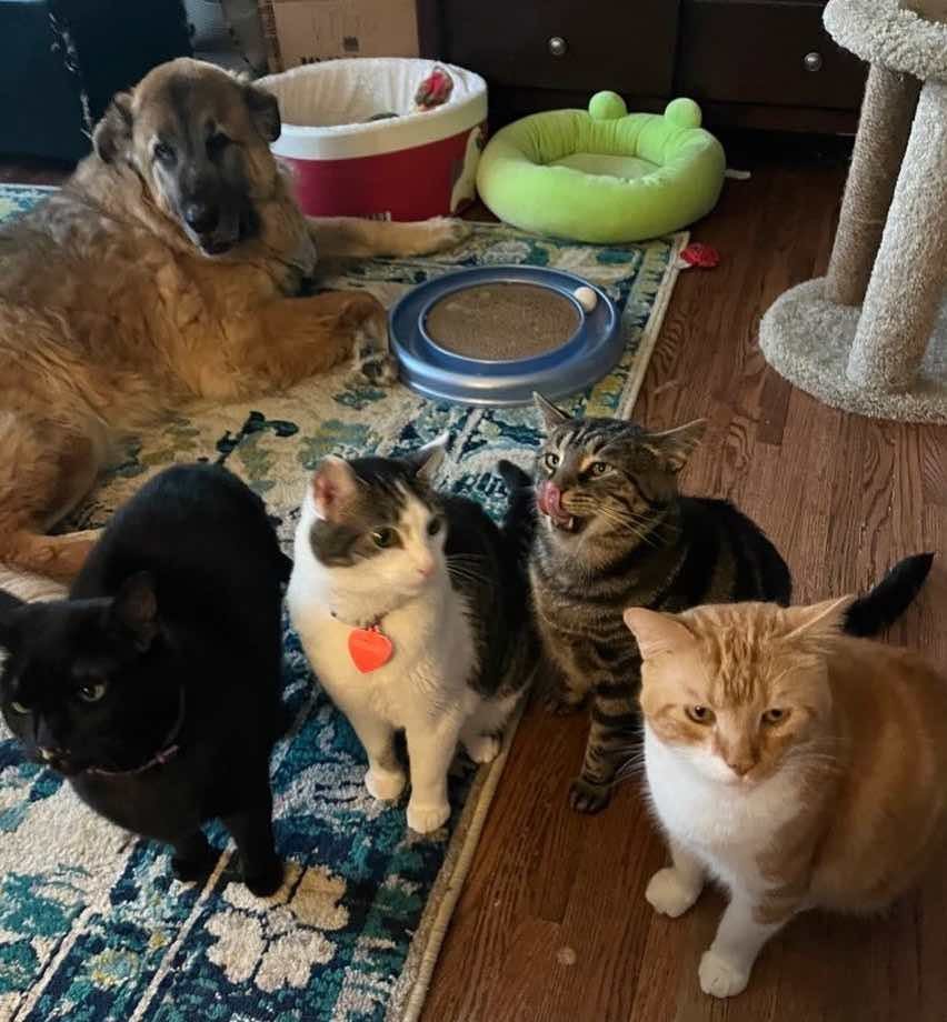 fishtopher 5 fishtopher 5