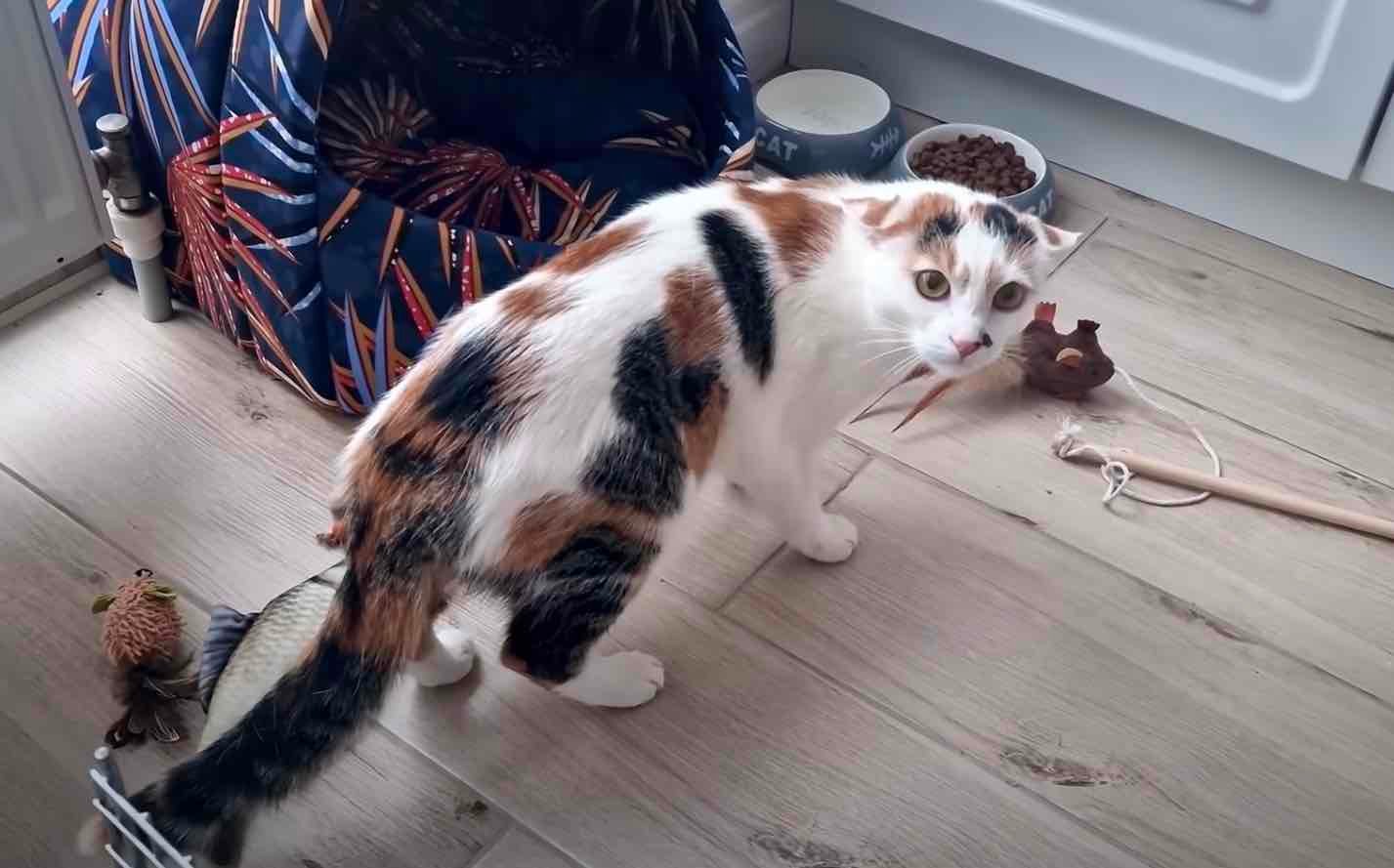 melissa 10 melissa 10