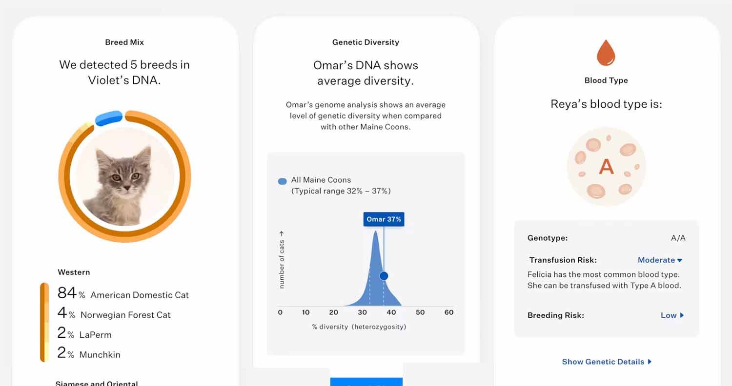 CAT-DNA-TEST-KIT Cat DNA test Kit