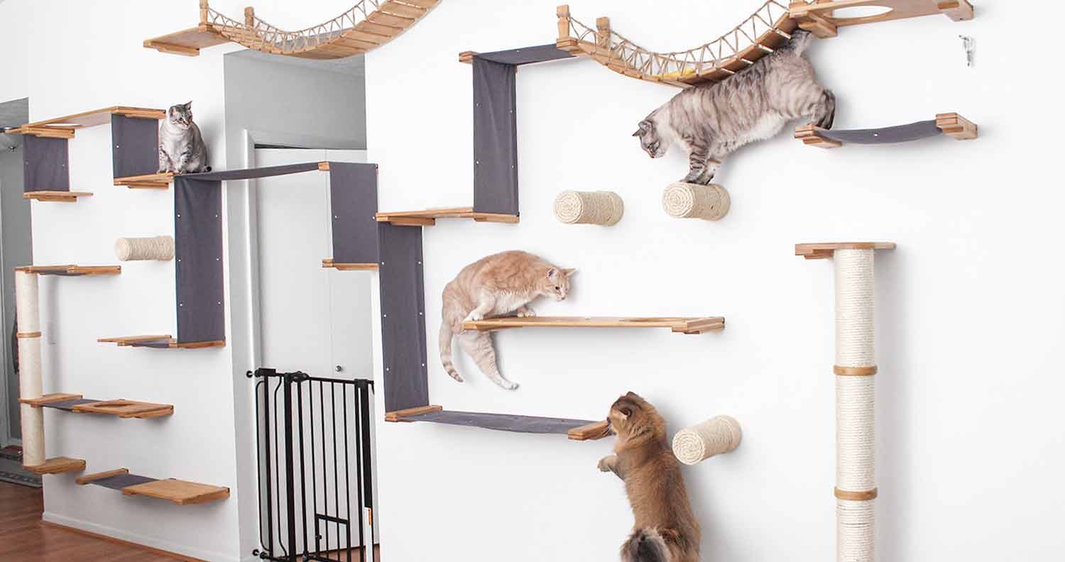 catastrophic creations luxury cat wall catastrophic creations luxury cat wall