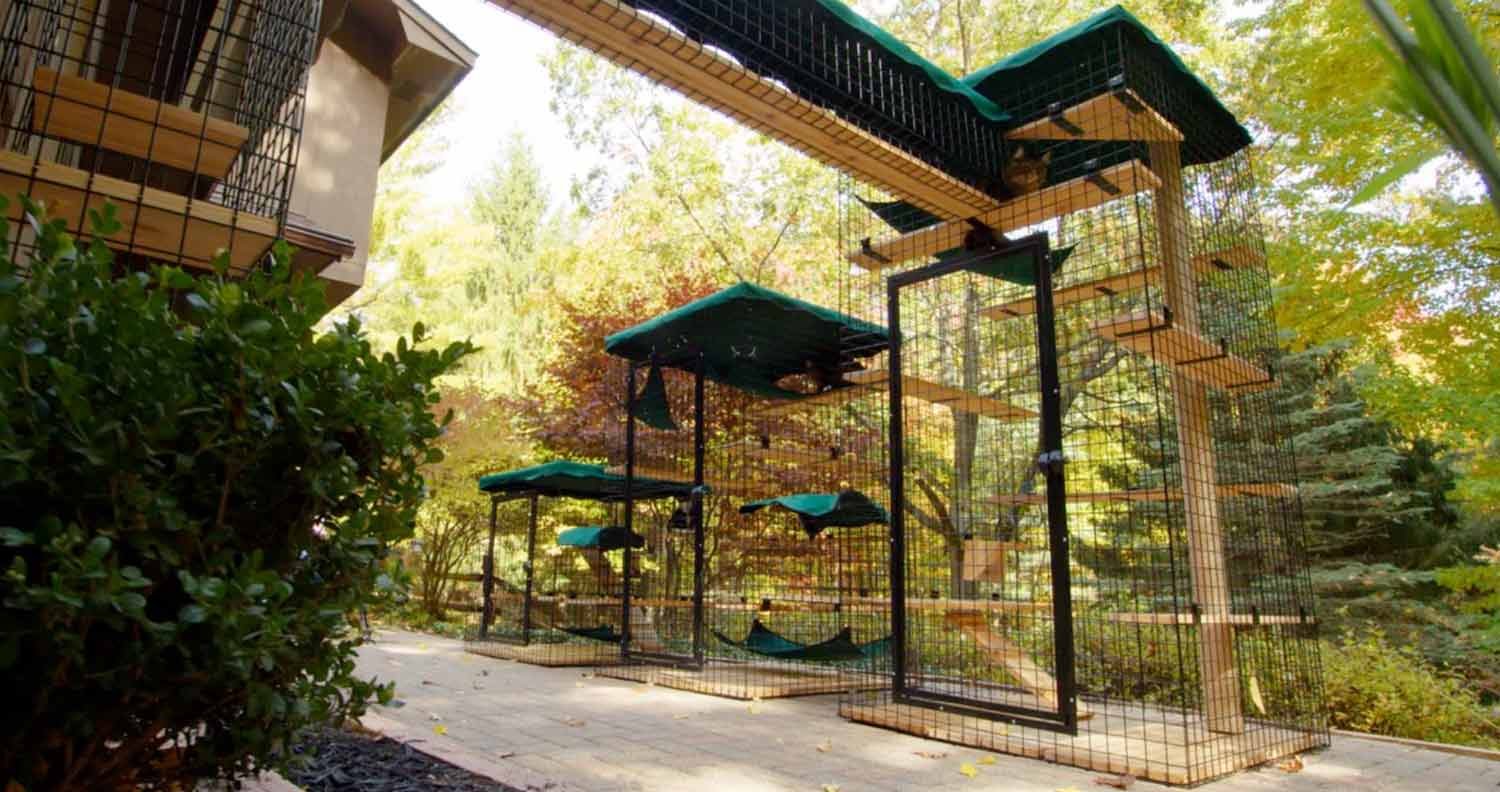 luxury outdoor catio luxury outdoor catio
