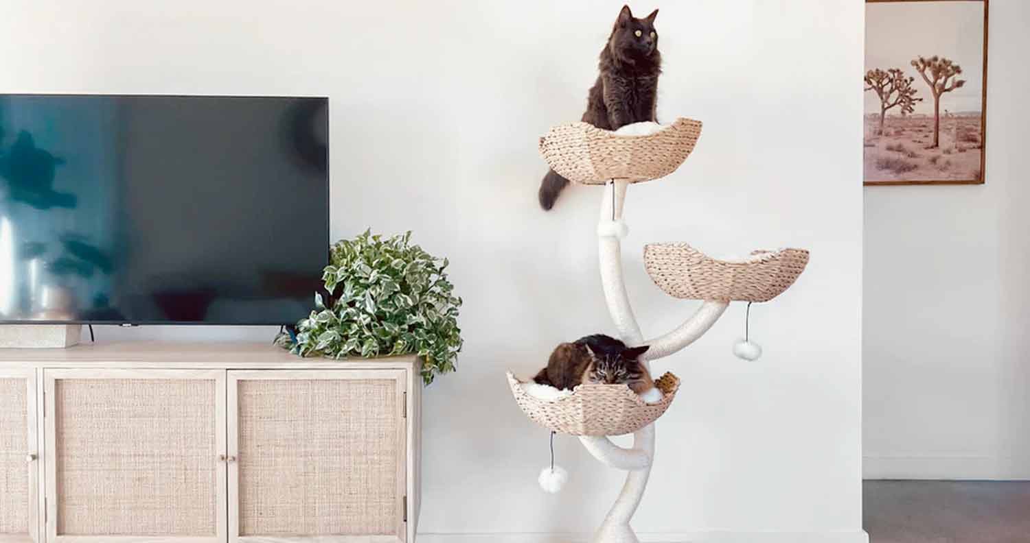 maupet luxury cat tree maupet luxury cat tree