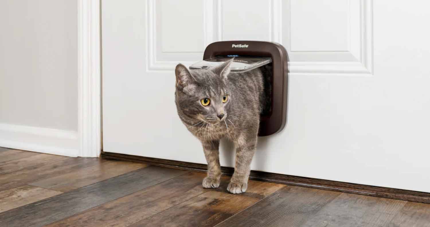 pet-safe-Microchip-Cat-Flap-indoor pet safe micro chip cat flap indoor