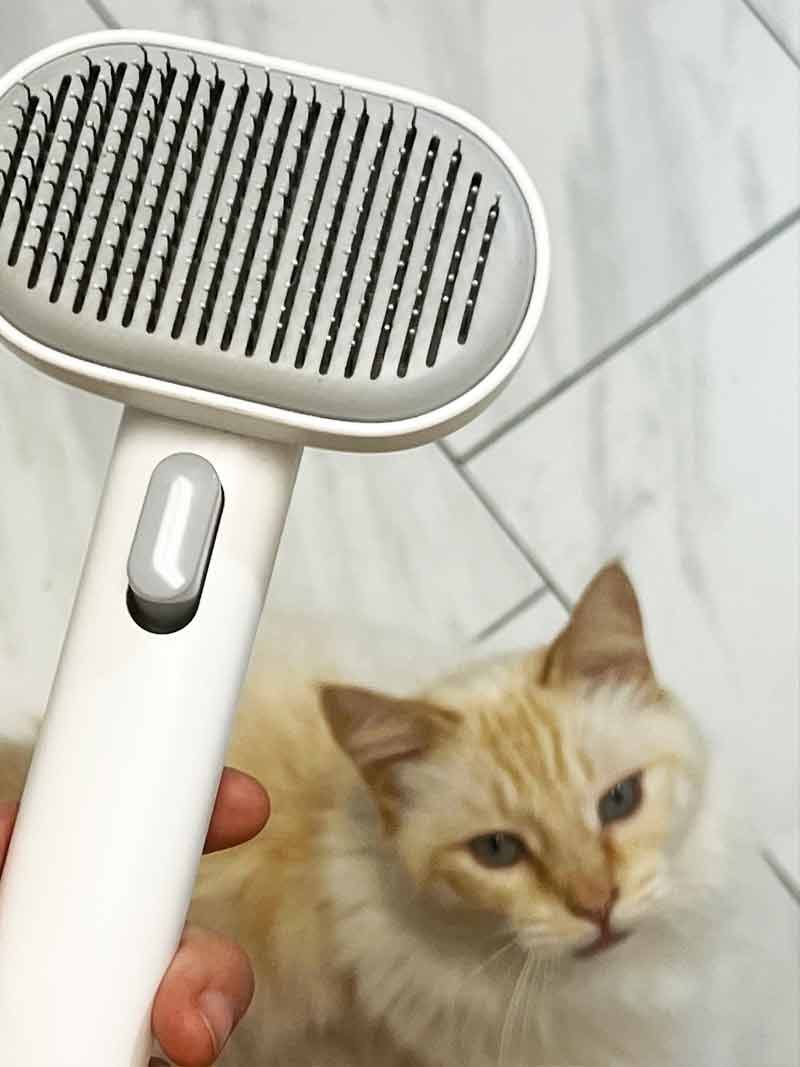 aumuca pet brush aumuca pet brush