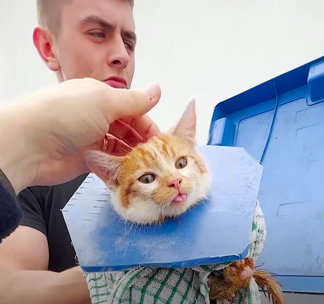 dumpster 2 dumpster 2