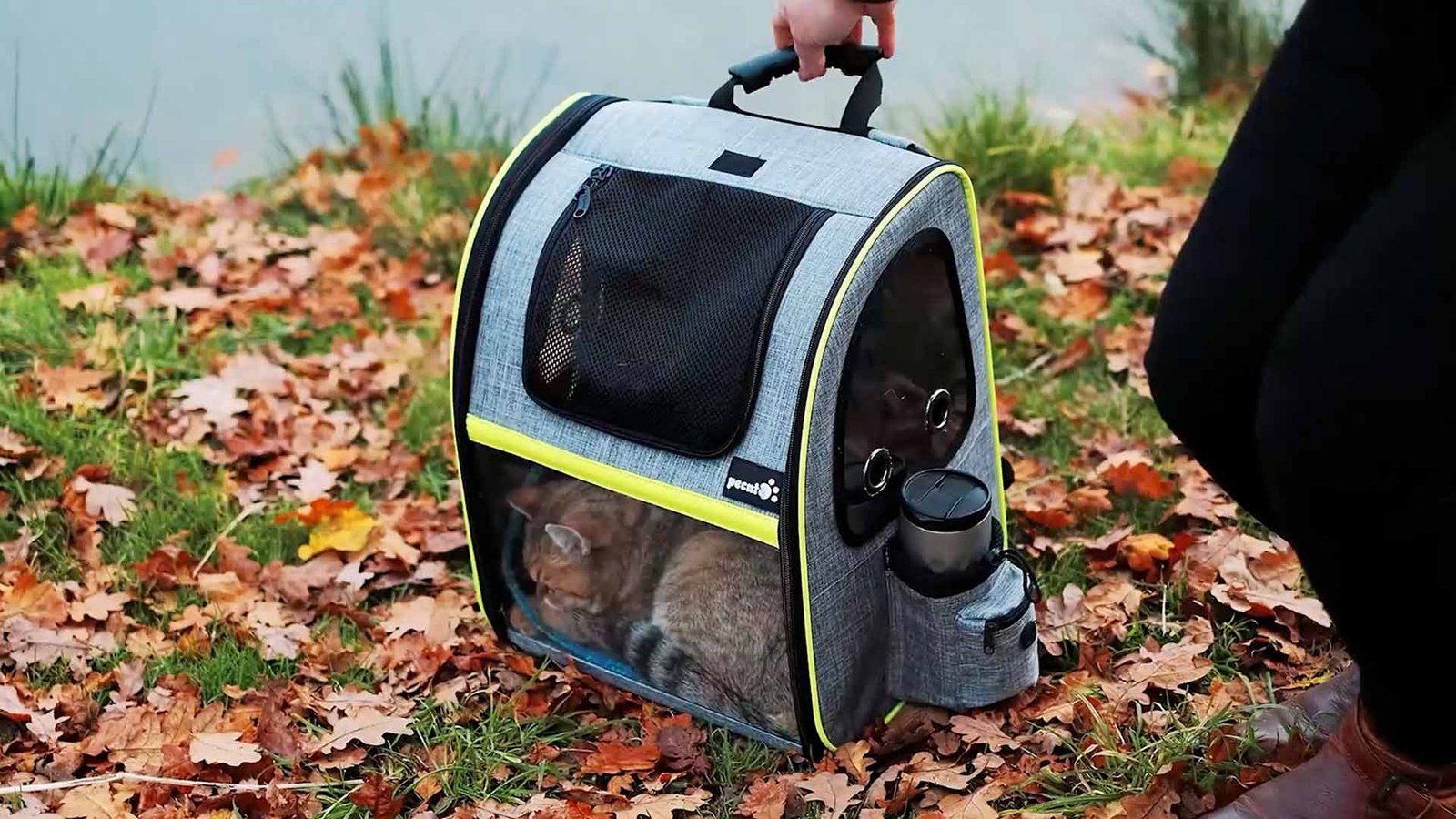 why do cats like backpacks cat lying down in cat backpack to show that cats like backpacks