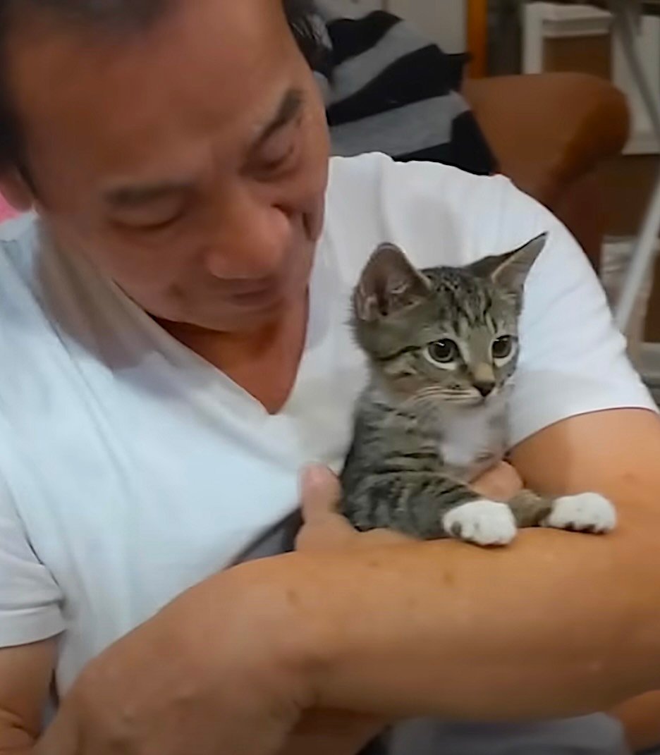 cat dad 10 cat dad 10