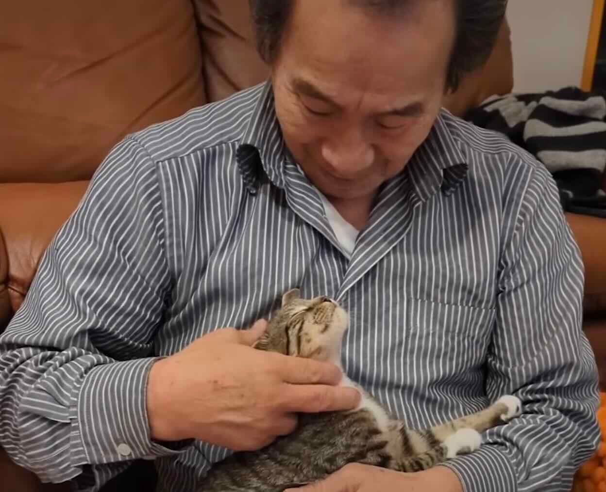 cat dad 6 cat dad 6