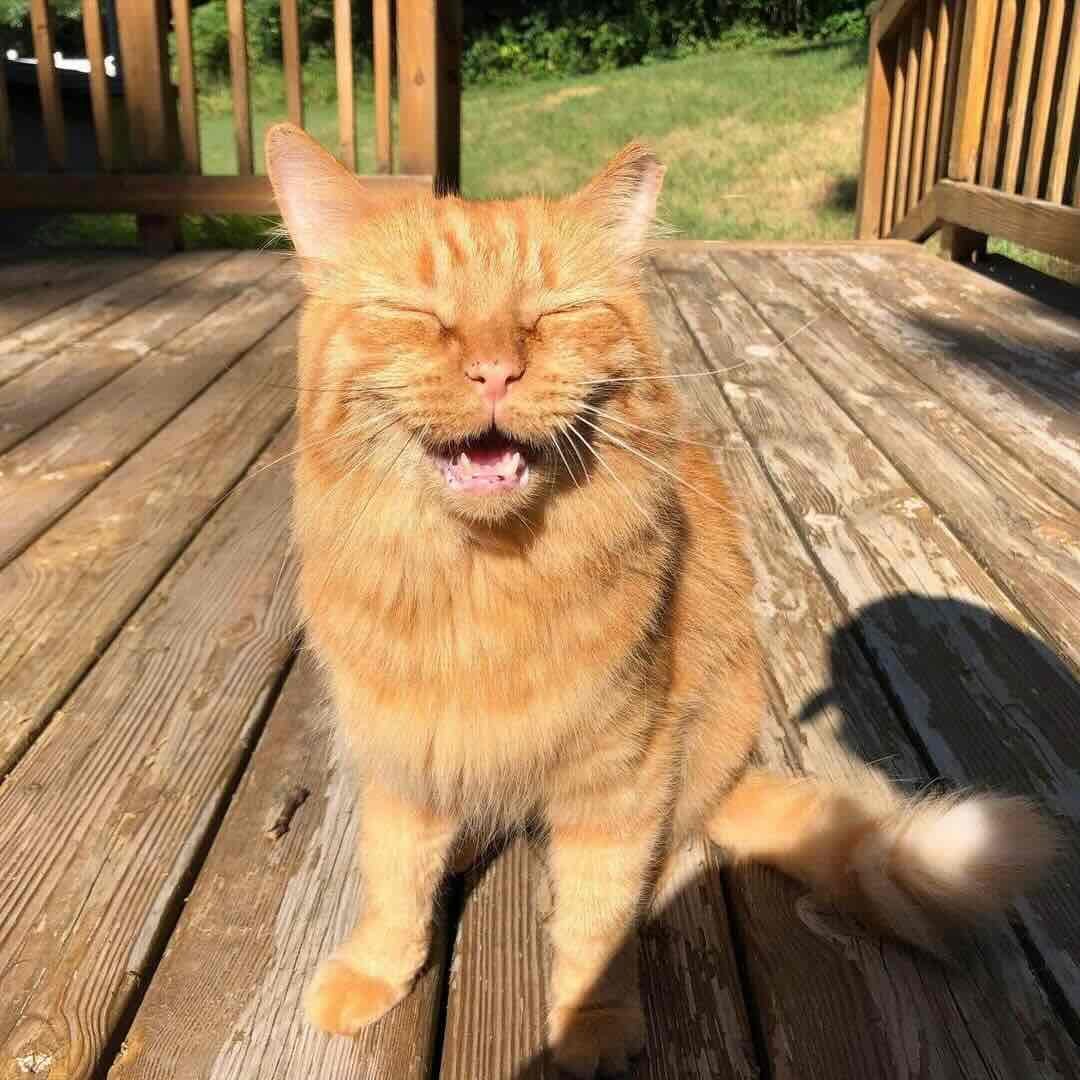 cinnabon 15 cinnabon 15