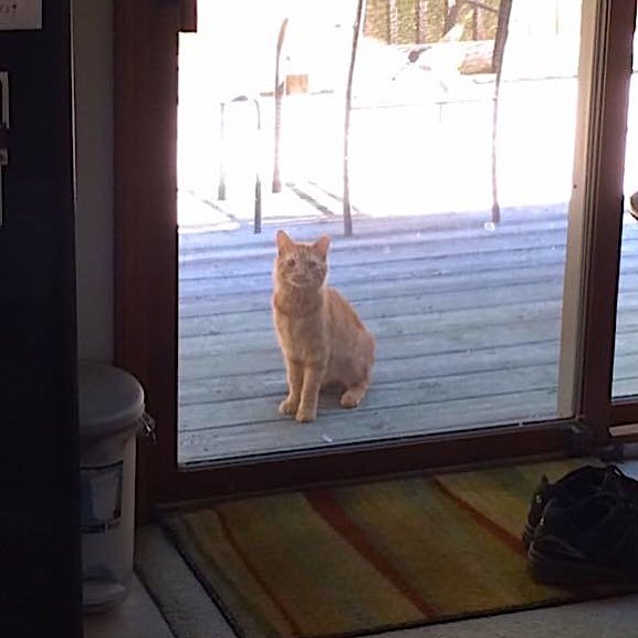 cinnabon 6 cinnabon 6