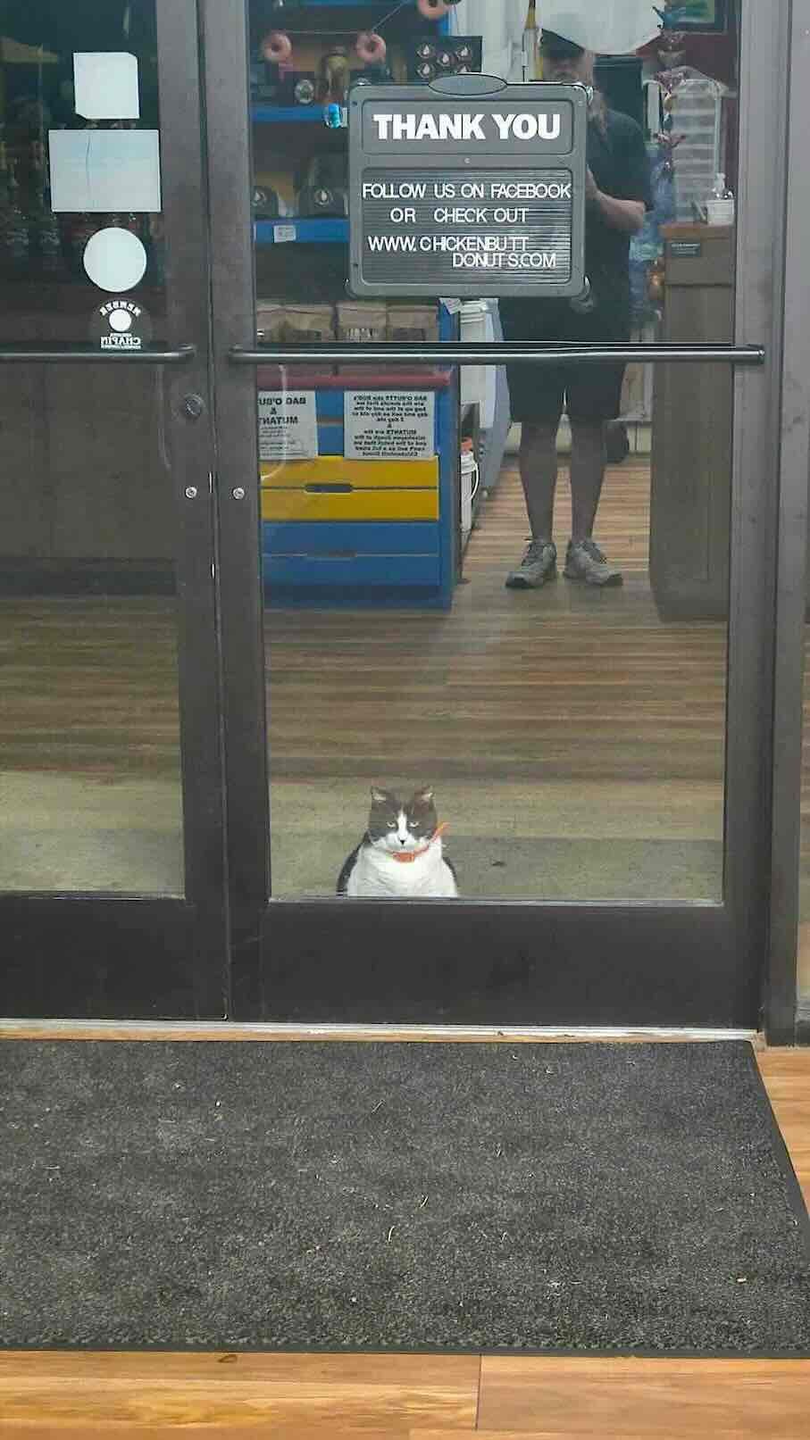 oreo donut 4 oreo donut 4