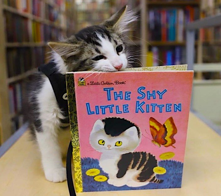 bookstore 1 bookstore 1