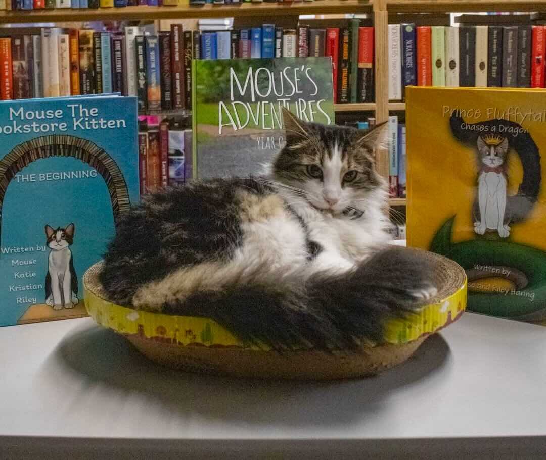 bookstore 11 bookstore 11