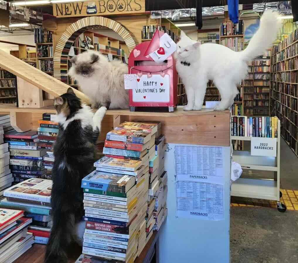 bookstore 15 bookstore 15