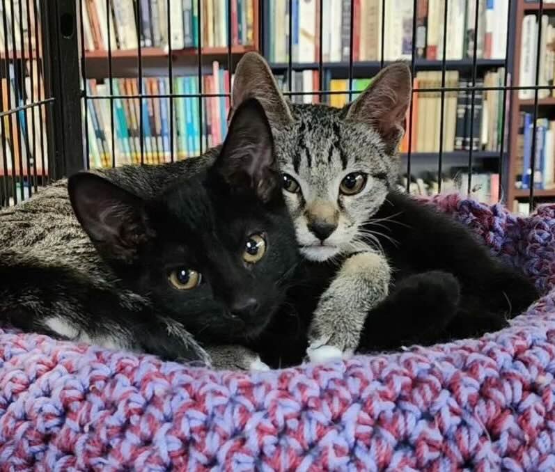 bookstore 16 bookstore 16