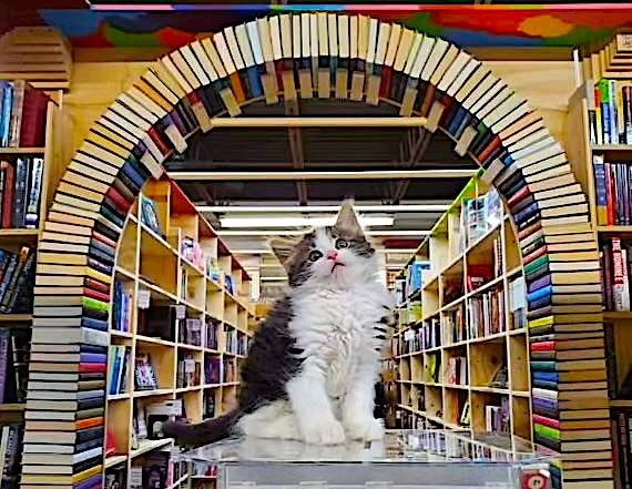 bookstore 18 bookstore 18