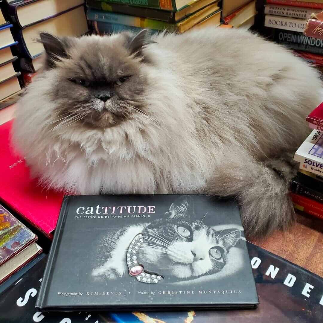 bookstore 3 bookstore 3