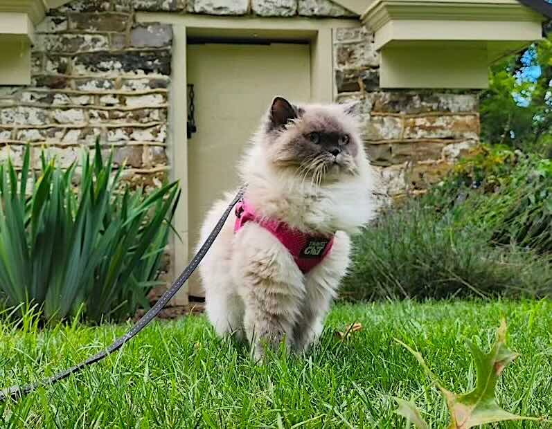 bookstore 6 bookstore 6