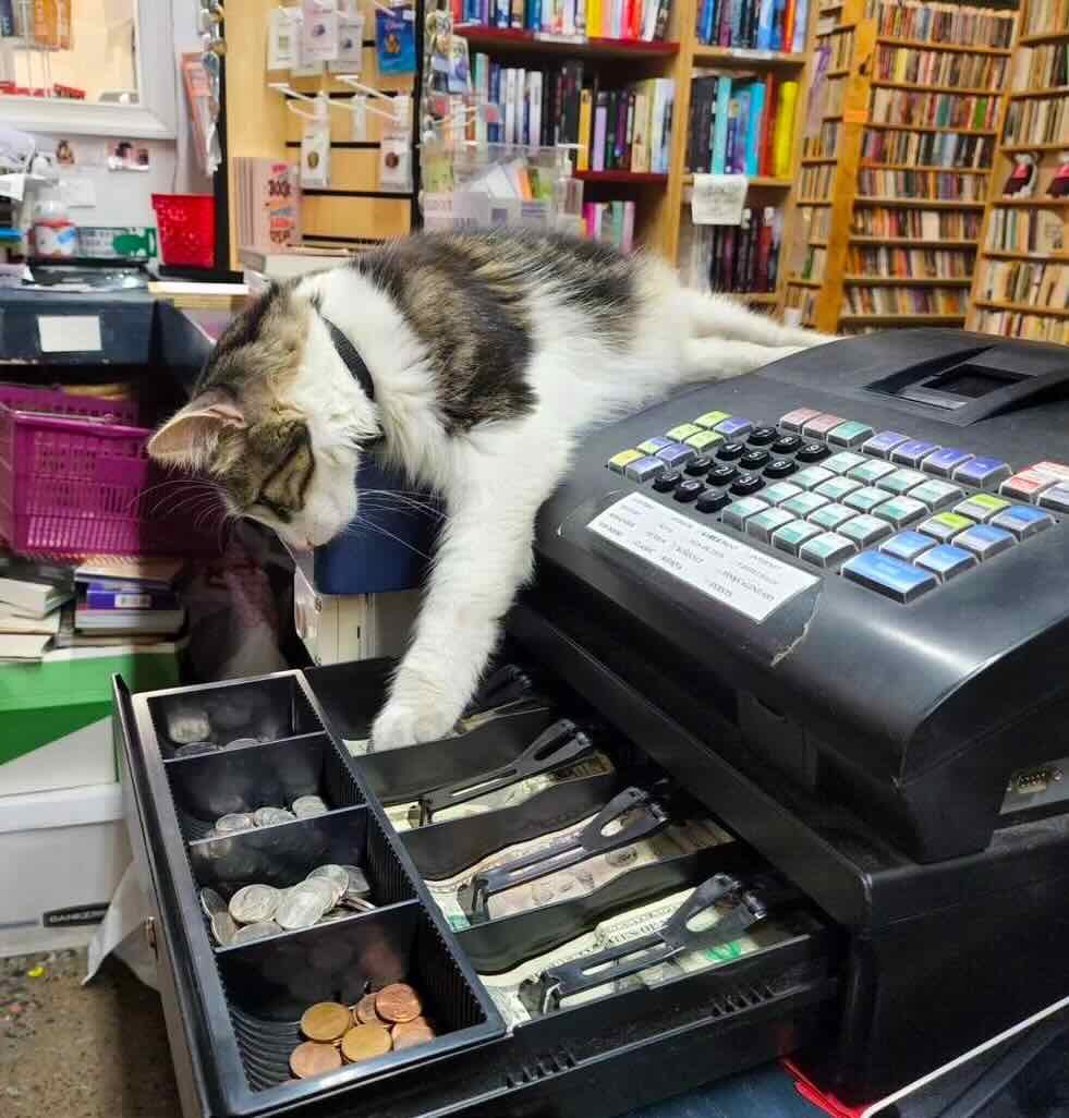 bookstore 7 bookstore 7