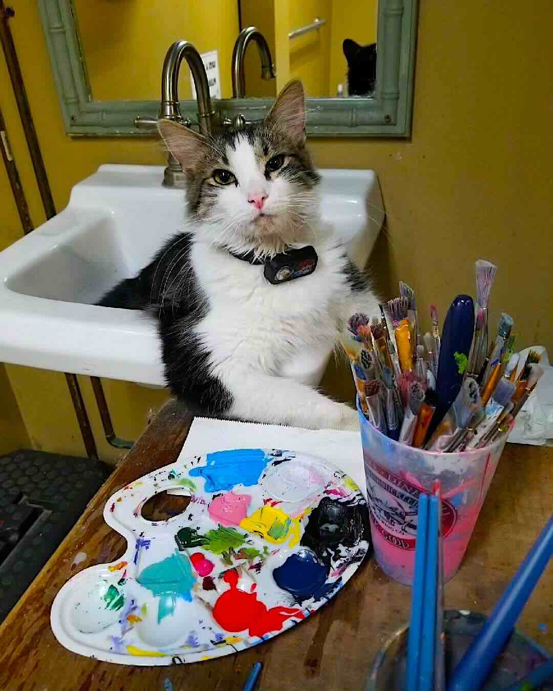 bookstore 8 bookstore 8