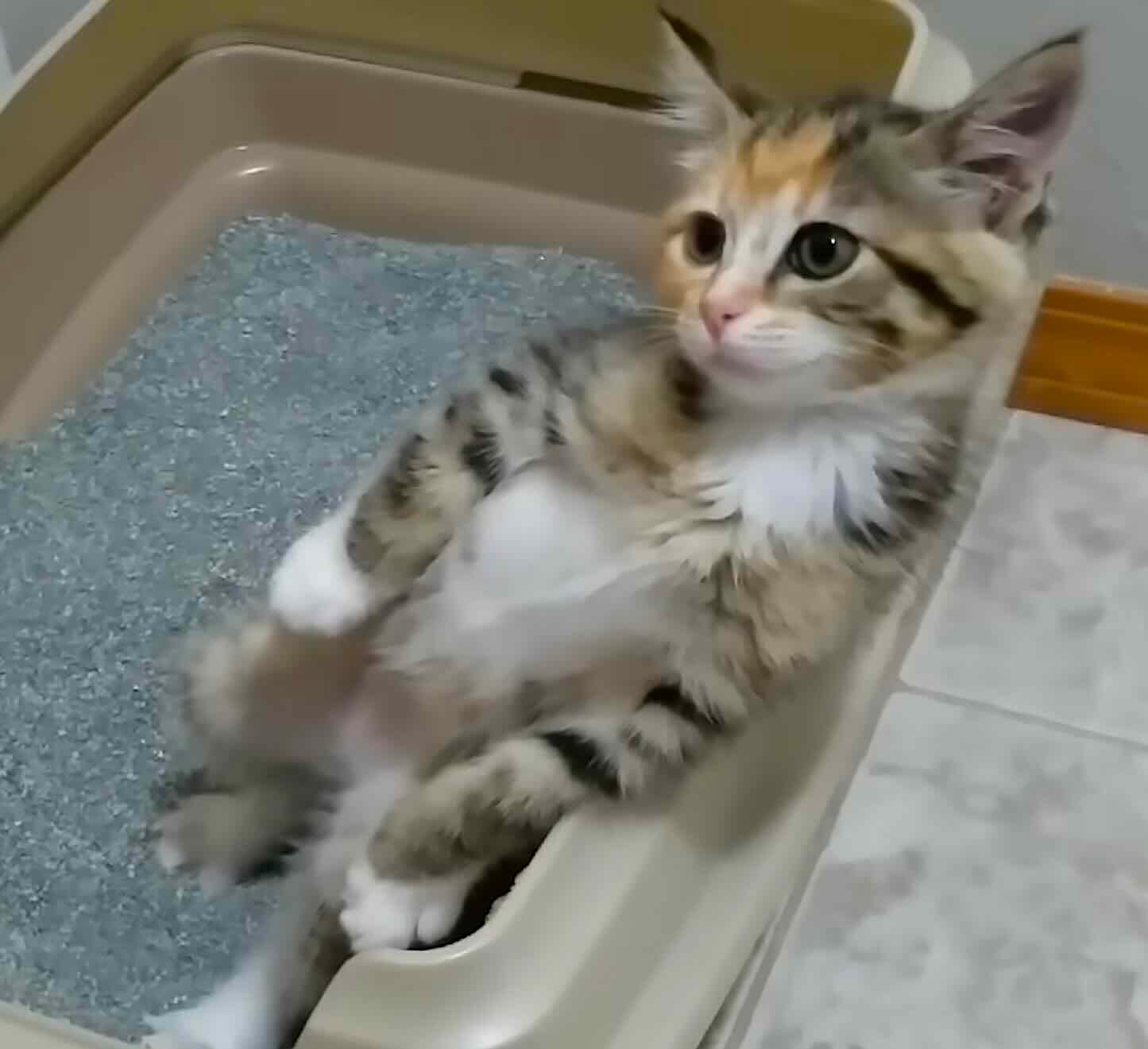 box moves 2 box moves 2