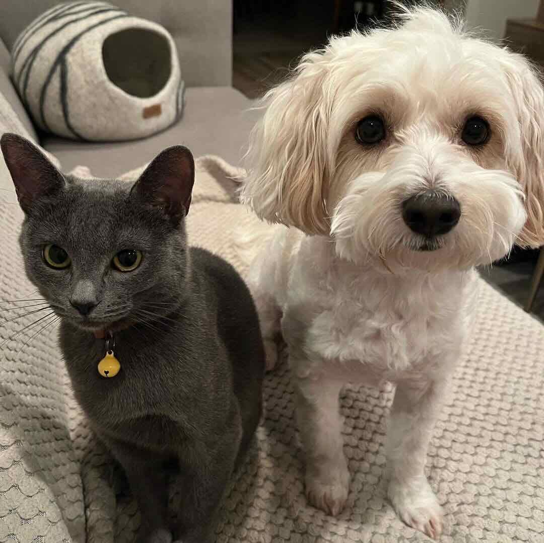 mika 6 mika 6