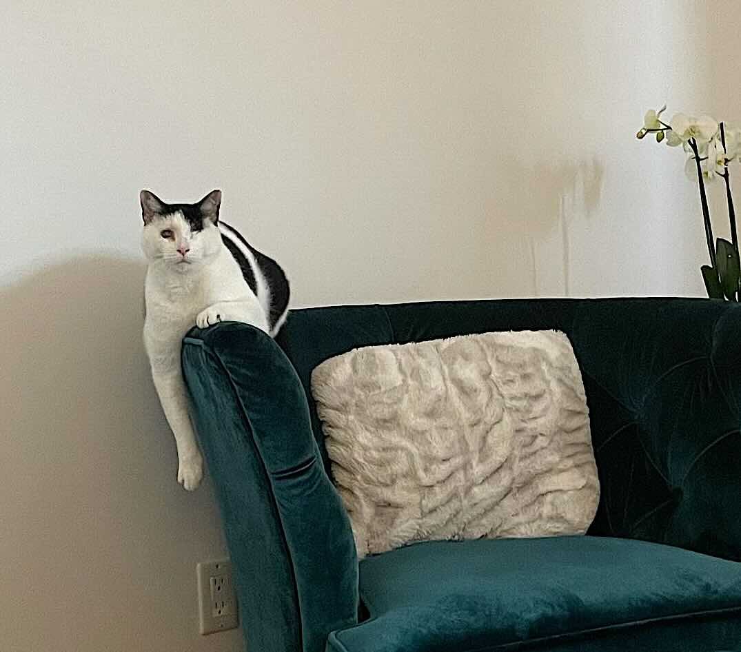 hugo 3 hugo 3