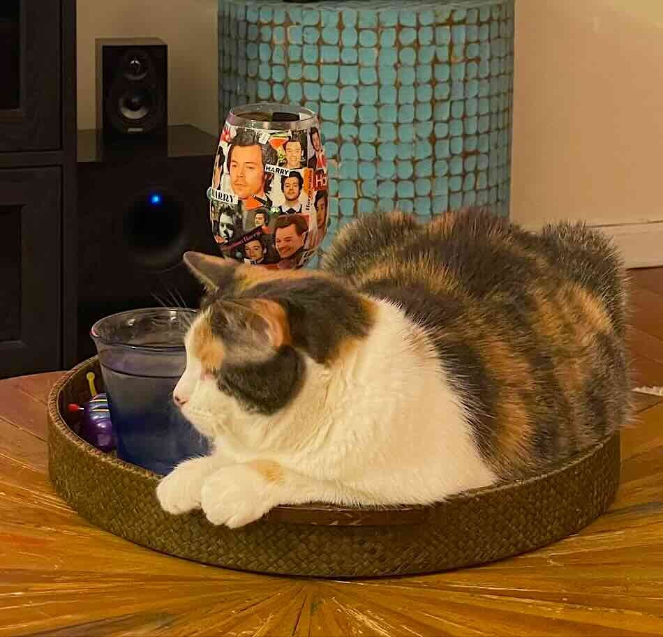 hugo 4 hugo 4