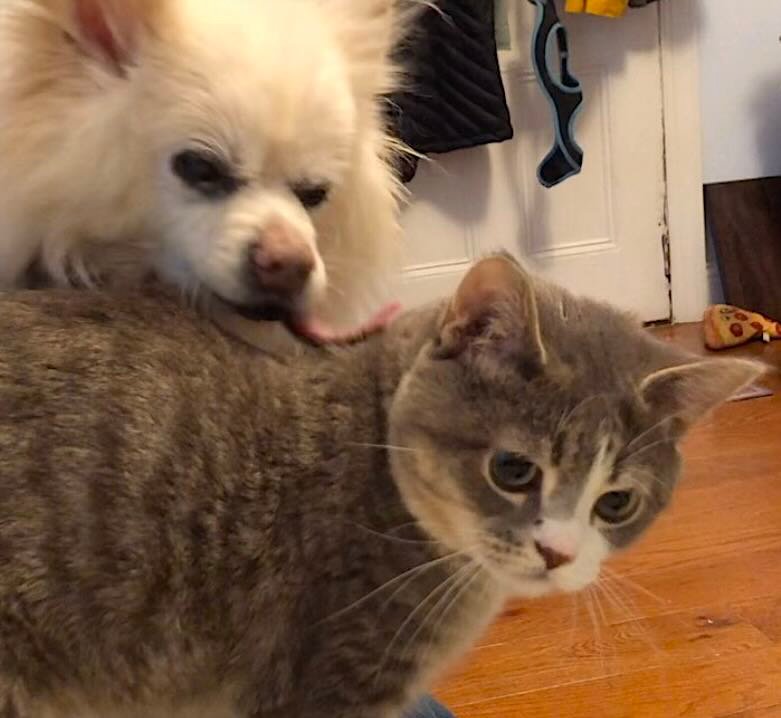 peanut 2 peanut 2