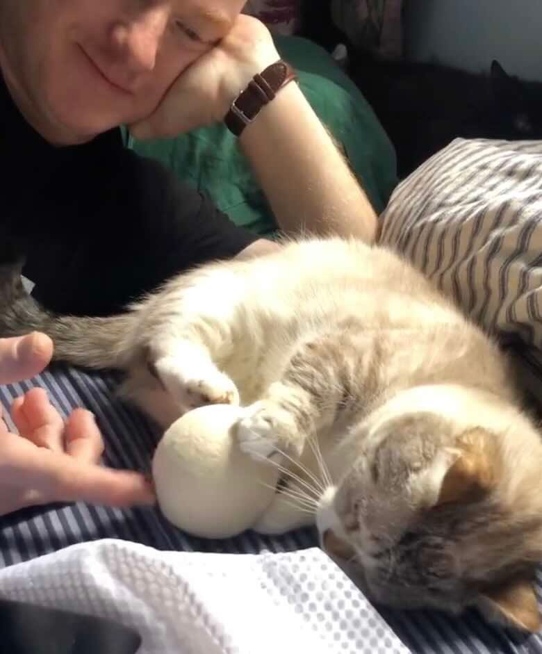 peanut 3 peanut 3