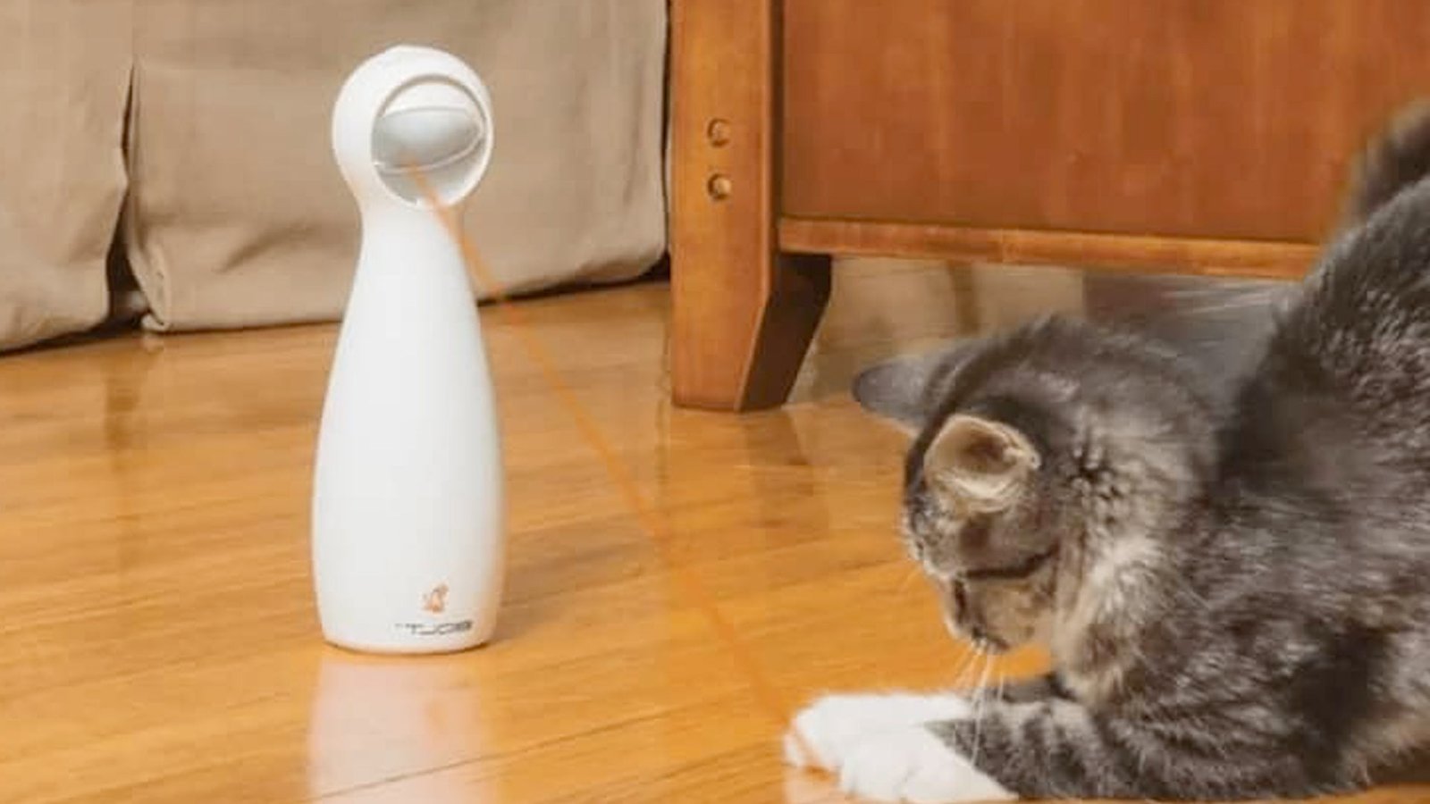 laser-cat-toy laser cat toy
