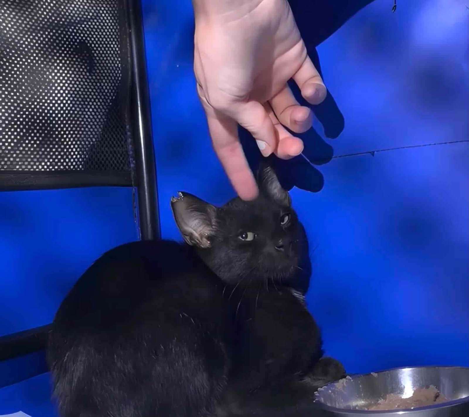 toothless 3 toothless 3