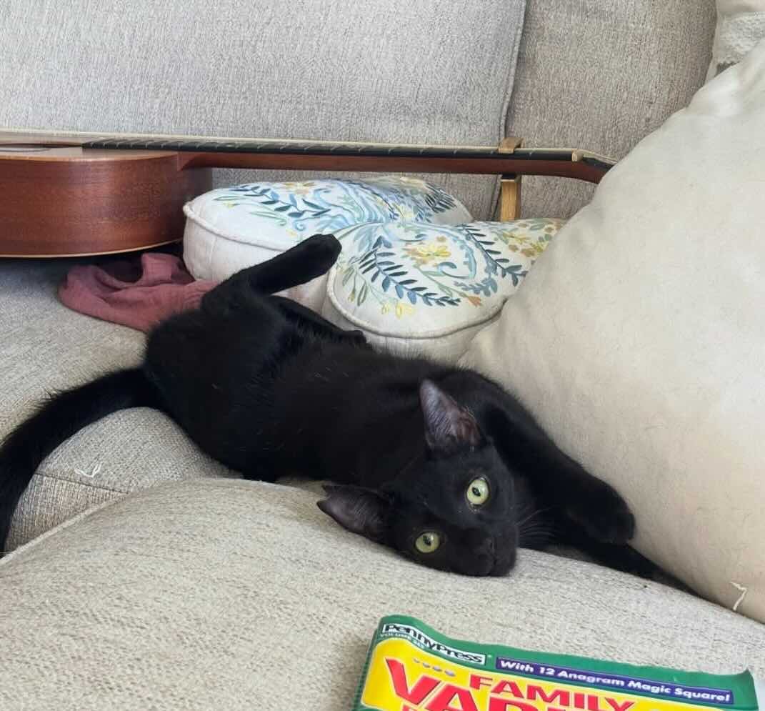 toothless 4 toothless 4