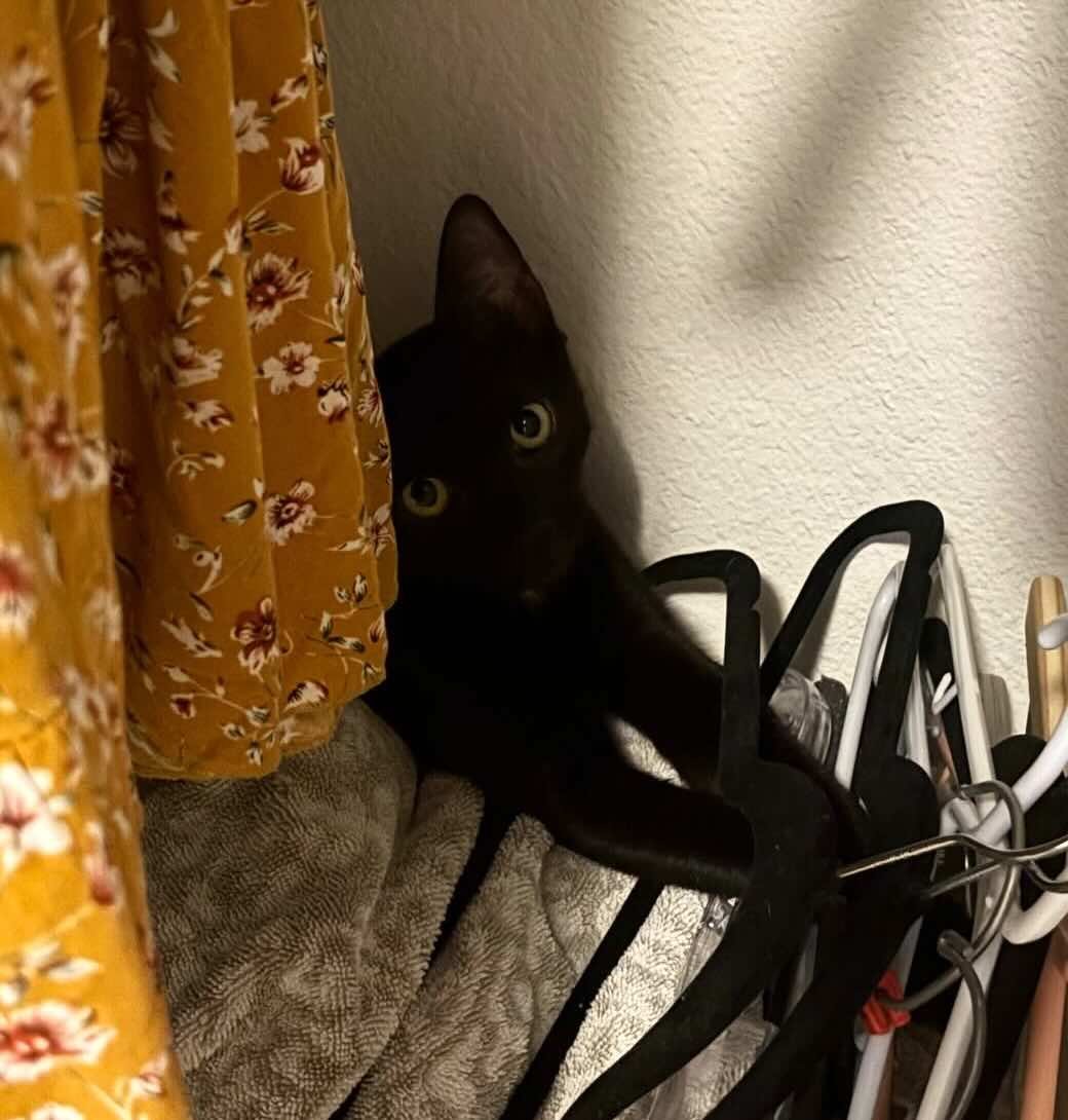 toothless 6 toothless 6