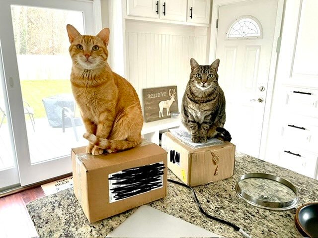 frank n cole 13 frank n cole 13