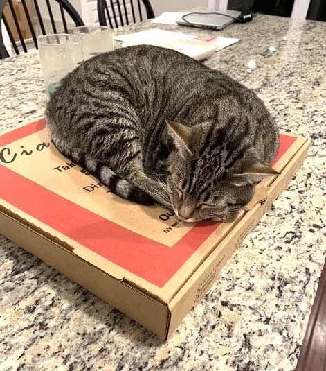 frank n cole 3 frank n cole 3