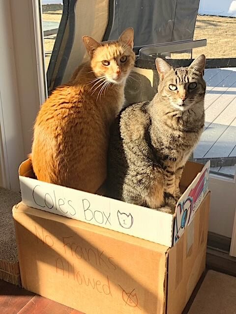 frank n cole 4 frank n cole 4