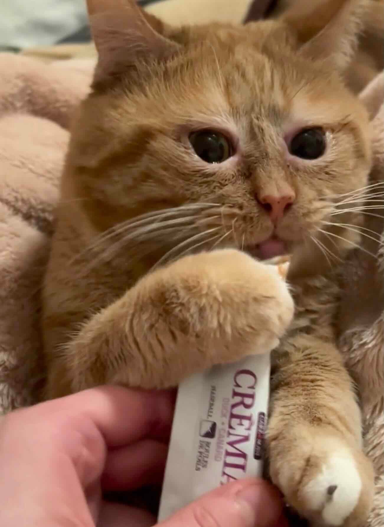 Sweetener-15 Sweetener-15