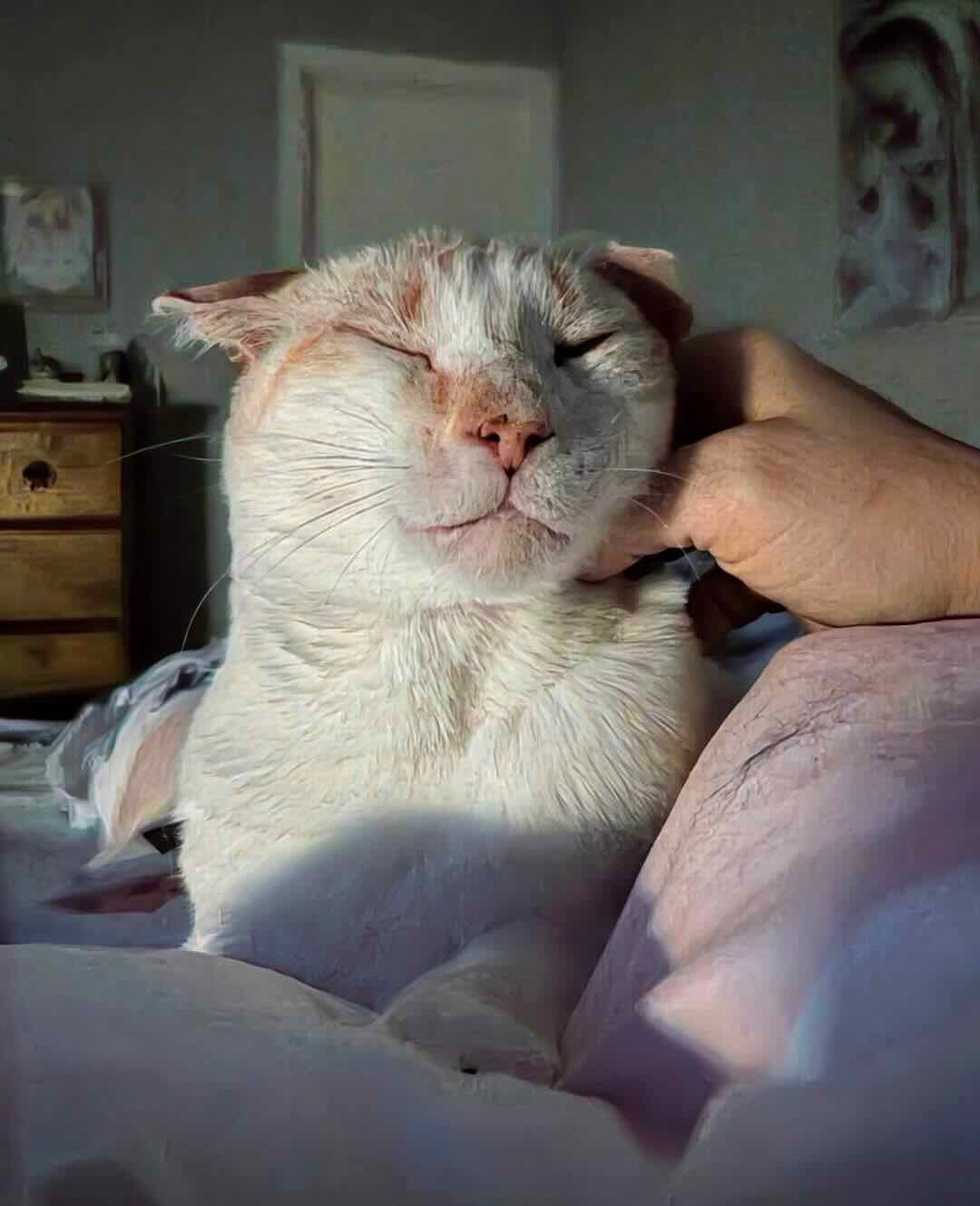 blue eyes 13 blue eyes 13