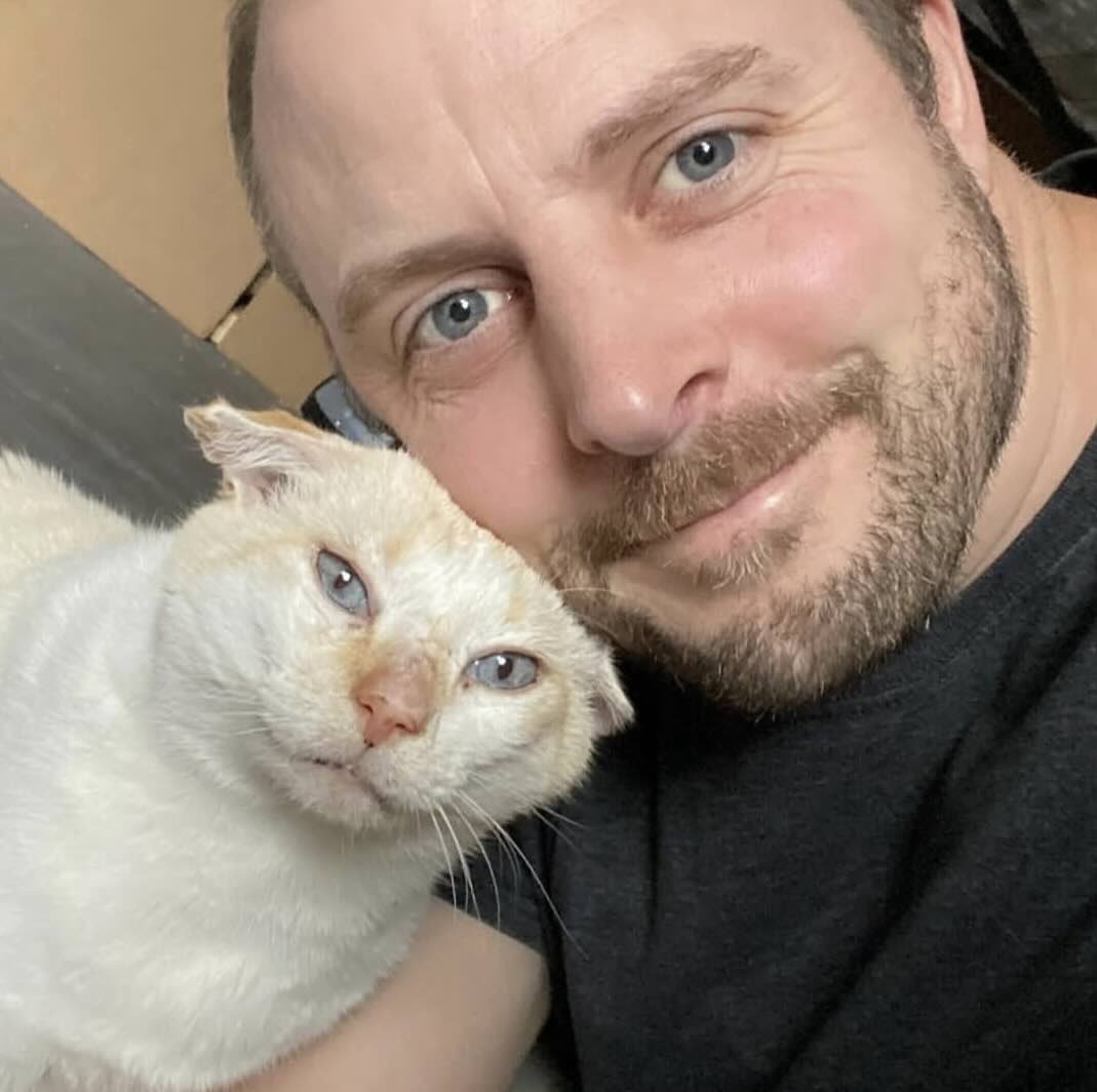 blue eyes 3 blue eyes 3