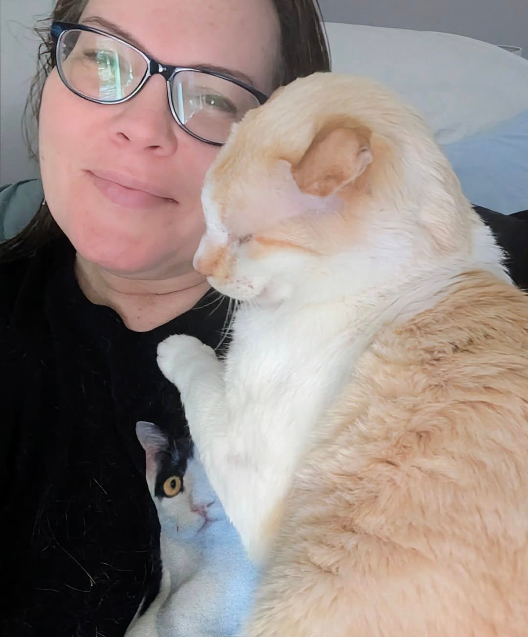 blue eyes 6 blue eyes 6