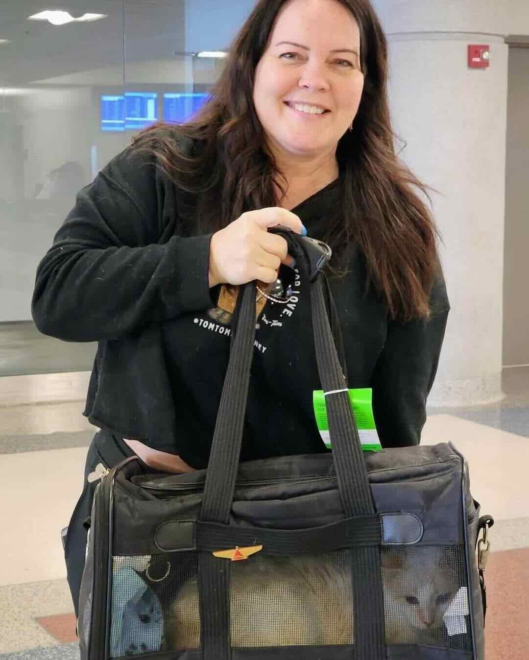 blue eyes 7 blue eyes 7