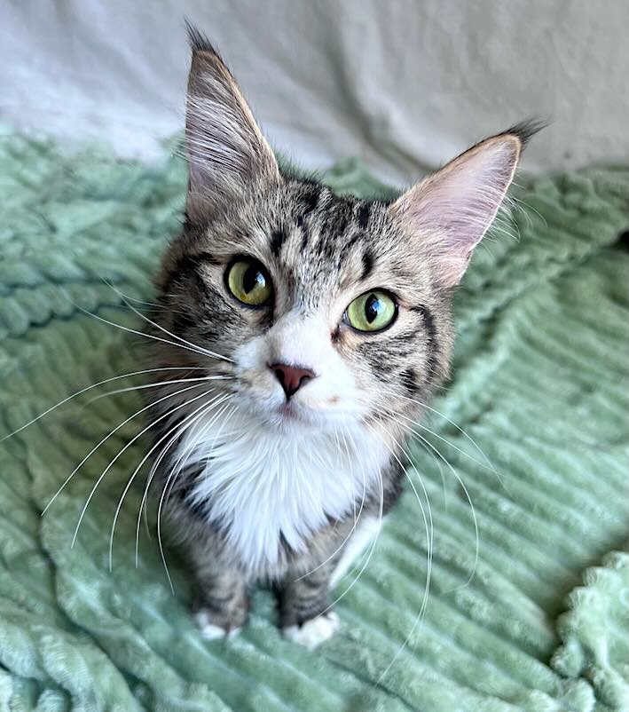 lovey dovey 2 lovey dovey 2