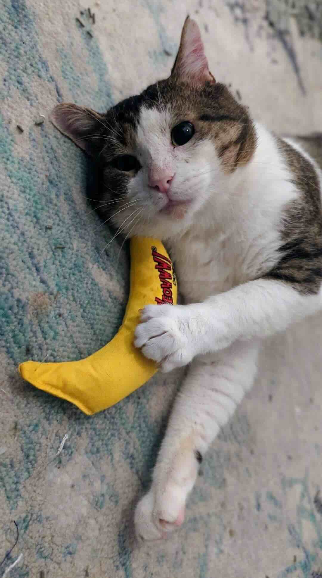 reacher 10 reacher 10