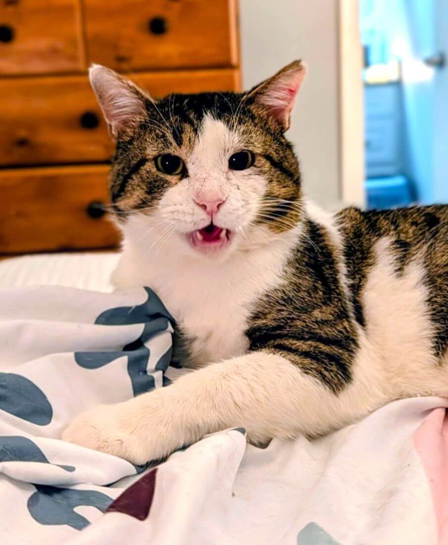 reacher 11 reacher 11