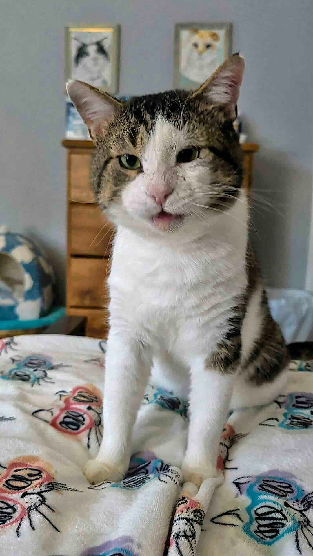 reacher 12 reacher 12